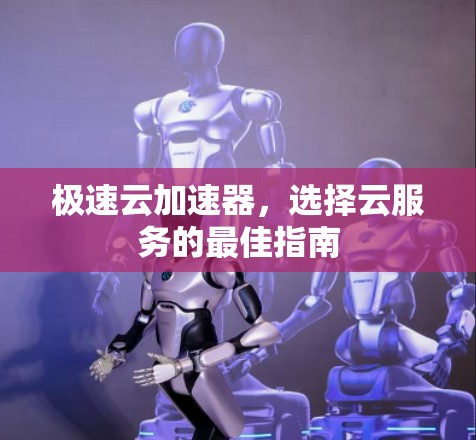 极速云加速器，选择云服务的最佳指南