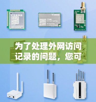 为了处理外网访问记录的问题，您可以按照以下步骤进行