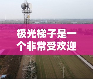 极光梯子是一个非常受欢迎的在线购物平台，用户们通常会将其下载并使用以获取大量实用工具和资源。这里有一份关于极光梯子的评测，供参考