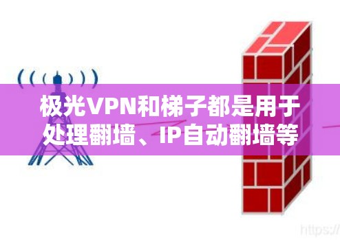 极光VPN和梯子都是用于处理翻墙、IP自动翻墙等功能的工具，各有特点，适合不同的用户群体。以下是对两个工具的评测和比较