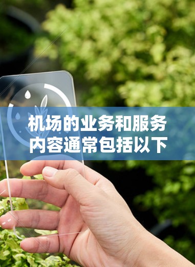 机场的业务和服务内容通常包括以下几个方面