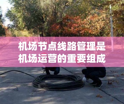 机场节点线路管理是机场运营的重要组成部分，确保机场网络的高效、稳定和安全运行是机场管理的核心任务。以下是一份详细的机场节点线路管理详细操作指南，帮助您更好地管理机场网络系统