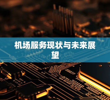 机场服务现状与未来展望
