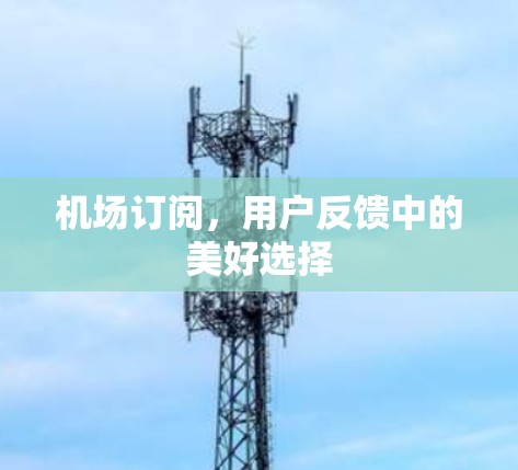 机场订阅，用户反馈中的美好选择