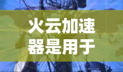 火云加速器是用于在外部网络上快速连接到互联网的工具，主要功能是加速数据传输。以下是关于火云加速器的详细分析
