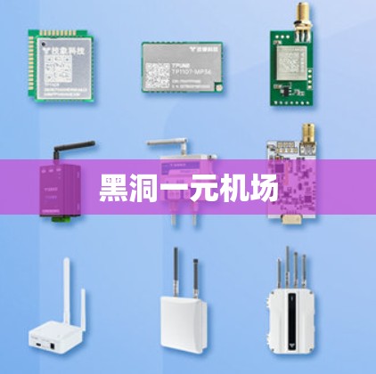 黑洞一元机场