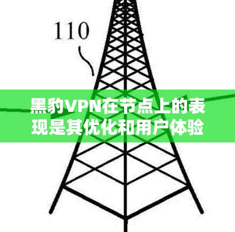 黑豹VPN在节点上的表现是其优化和用户体验的重要指标，具体表现可以通过节点性能排行来衡量。以下是对黑豹VPN节点性能排行的分析