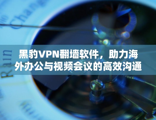 黑豹VPN翻墙软件，助力海外办公与视频会议的高效沟通