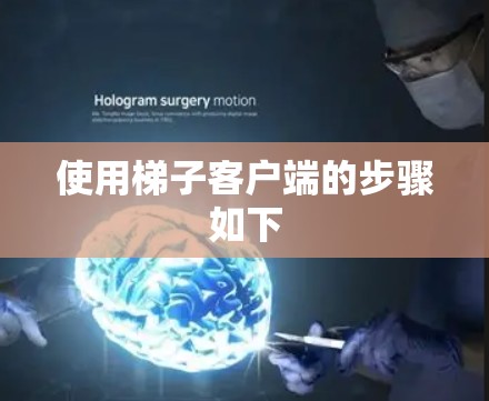 使用梯子客户端的步骤如下