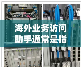 海外业务访问助手通常是指那些能够访问和处理由某一公司或机构在香港、中国大陆、新加坡等国家运营的业务系统，以及与这些业务相关联的客户、合作伙伴、监管机构等。这类助手可能包括以下几种类型