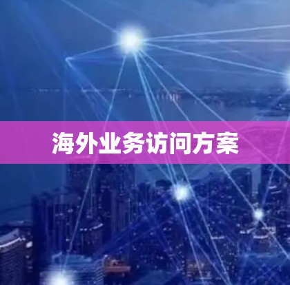 海外业务访问方案