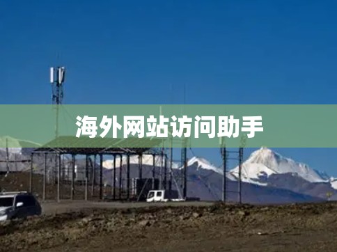 海外网站访问助手