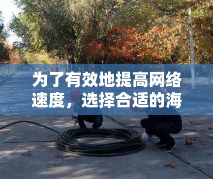 为了有效地提高网络速度，选择合适的海外网站访问加速软件是一个关键步骤。以下是一步步的指南，帮助你做出明智的选择