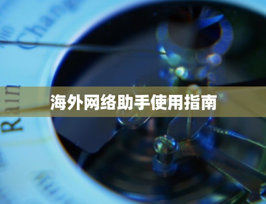 海外网络助手使用指南