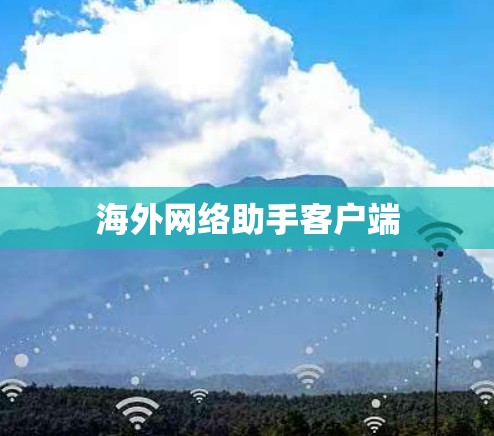 海外网络助手客户端