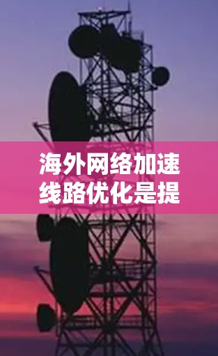 海外网络加速线路优化是提高网络性能、减少延迟和错误的重要手段。以下是一些重要的步骤和方法，帮助您优化海外网络加速线路