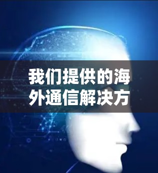 我们提供的海外通信解决方案