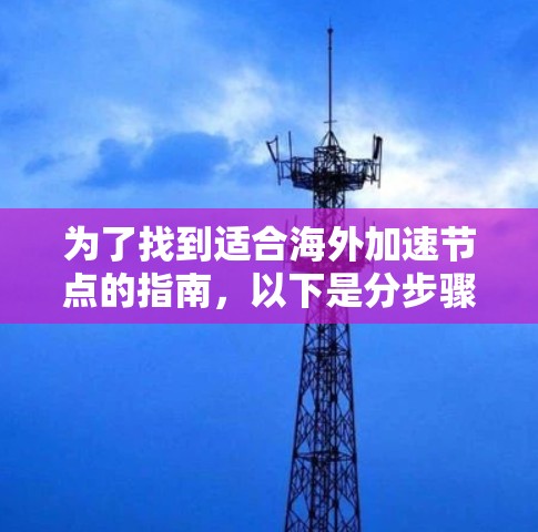 为了找到适合海外加速节点的指南，以下是分步骤的建议