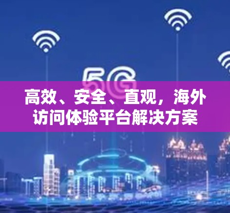 高效、安全、直观，海外访问体验平台解决方案