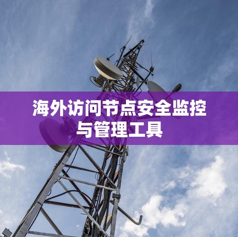海外访问节点安全监控与管理工具