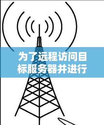 为了远程访问目标服务器并进行查询或监控，您可以按照以下步骤操作