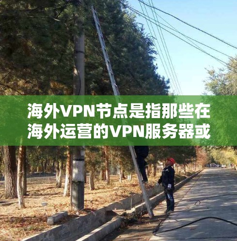 海外VPN节点是指那些在海外运营的VPN服务器或网络服务。这些节点通常位于不同的国家和地区，使用不同的VPN协议进行加密和安全连接。以下是一些关于海外VPN节点的常见信息