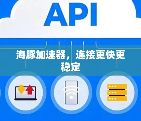 海豚加速器，连接更快更稳定
