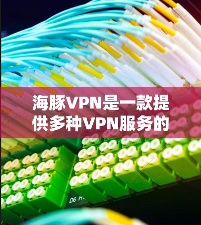 海豚VPN是一款提供多种VPN服务的在线平台，旨在为用户提供安全、高效、友好的VPN体验。以下是对海豚VPN功能的详细评测
