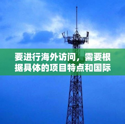 要进行海外访问，需要根据具体的项目特点和国际标准来设计访问计划。以下是一些可能的步骤和建议
