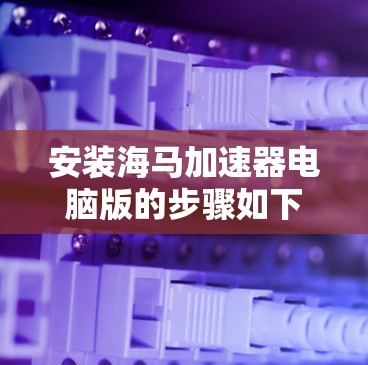 安装海马加速器电脑版的步骤如下