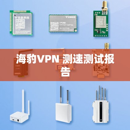 海豹VPN 测速测试报告 海豹VPN 测速测试报告