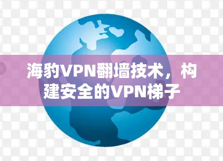 海豹VPN翻墙技术，构建安全的VPN梯子