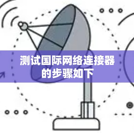 测试国际网络连接器的步骤如下