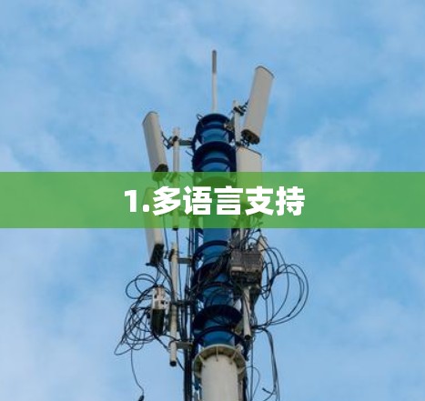 1.多语言支持