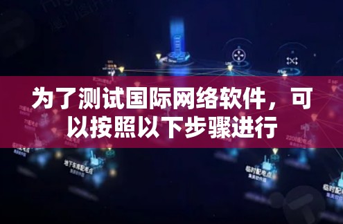 为了测试国际网络软件，可以按照以下步骤进行