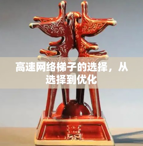 高速网络梯子的选择，从选择到优化