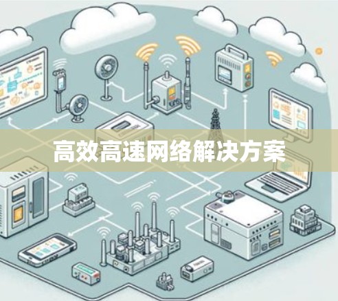 高效高速网络解决方案