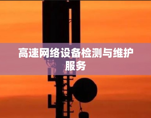 高速网络设备检测与维护服务