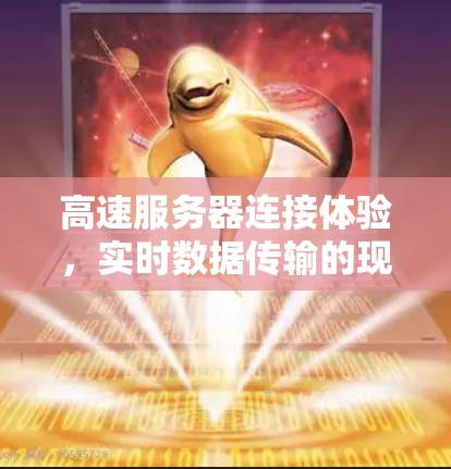 高速服务器连接体验，实时数据传输的现代通信解决方案