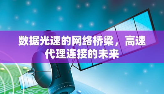 数据光速的网络桥梁，高速代理连接的未来
