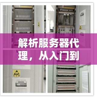 解析服务器代理，从入门到高效运营