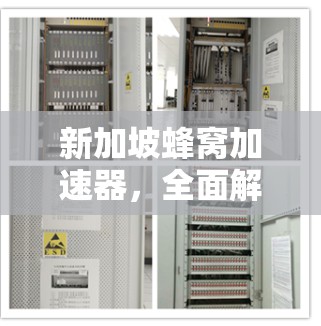 新加坡蜂窝加速器，全面解析与选择