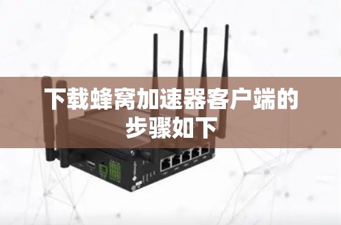 下载蜂窝加速器客户端的步骤如下