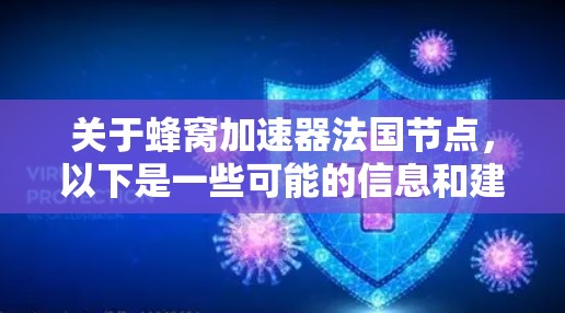 关于蜂窝加速器法国节点，以下是一些可能的信息和建议