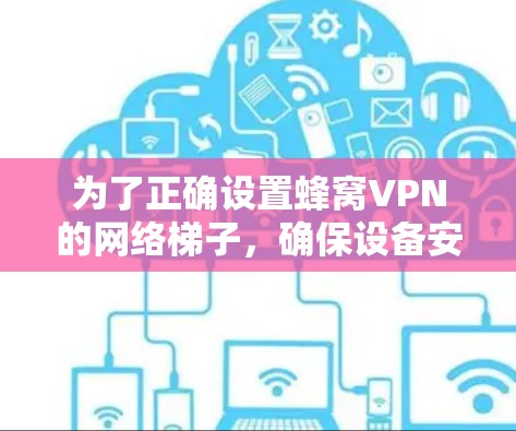 为了正确设置蜂窝VPN的网络梯子，确保设备安全，您可以按照以下步骤进行
