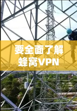 要全面了解蜂窝VPN的官网，可以按照以下步骤进行