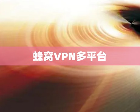 蜂窝VPN多平台
