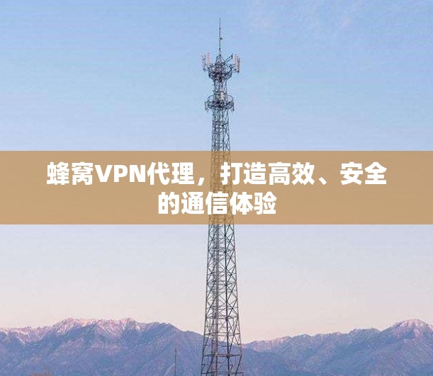 蜂窝VPN代理，打造高效、安全的通信体验