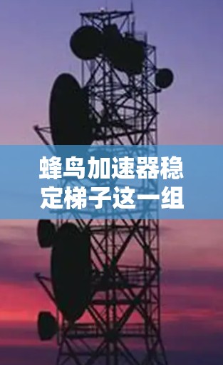 蜂鸟加速器稳定梯子这一组合可能涉及多个技术领域，具体含义取决于上下文。以下是一些可能的解释和解决方案