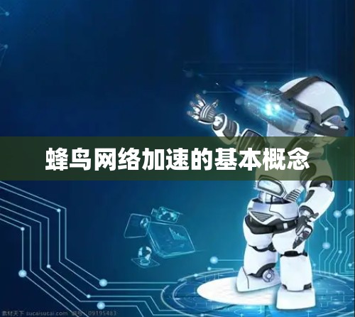 蜂鸟网络加速的基本概念